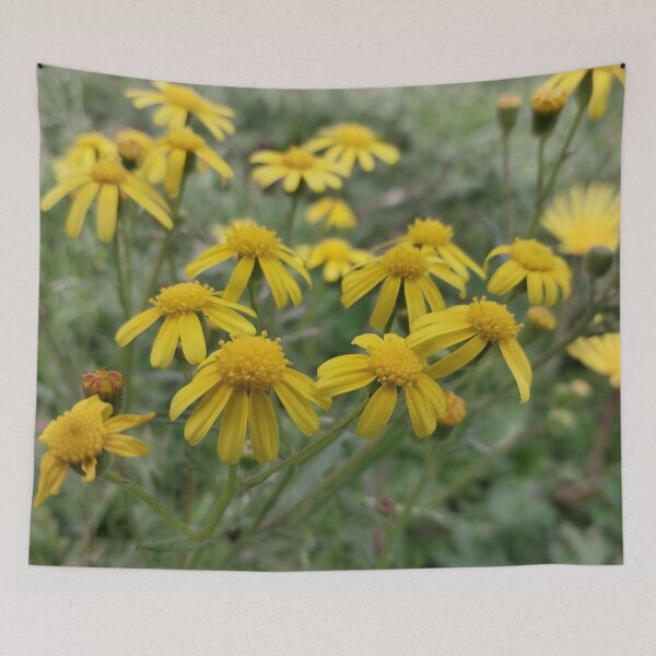 Item preview, Lawn Full of Stars designed and sold by Just Carina.