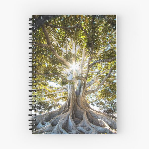 Item preview, Ancient Sunlit Tree – Natural Botanical Photography Design designed and sold by Coverify.