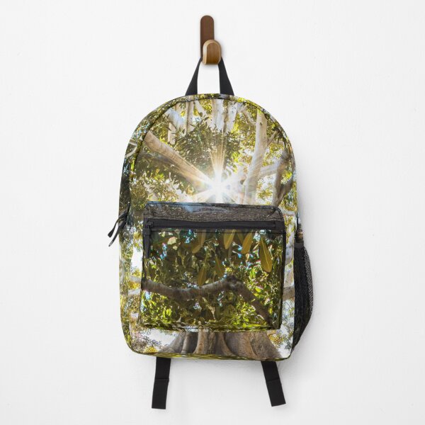 Item preview, Ancient Sunlit Tree – Natural Botanical Photography Design designed and sold by Coverify.