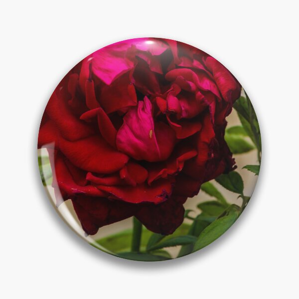 Item preview, Vibrant Red Rose Bloom with Lush Green Leaves in a Soft Focus Garden Setting designed and sold by Nmallia.