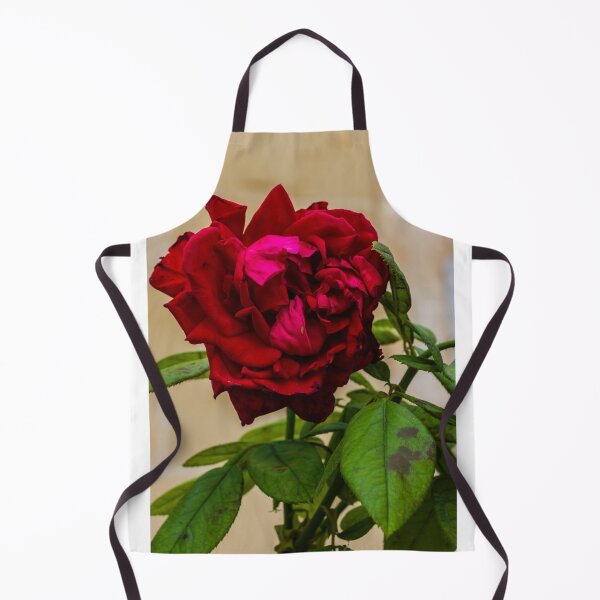 Item preview, Vibrant Red Rose Bloom with Lush Green Leaves in a Soft Focus Garden Setting designed and sold by Nmallia.