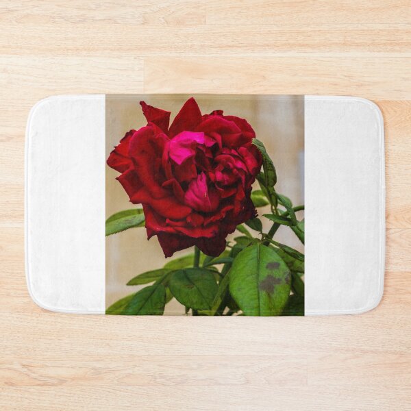 Item preview, Vibrant Red Rose Bloom with Lush Green Leaves in a Soft Focus Garden Setting designed and sold by Nmallia.