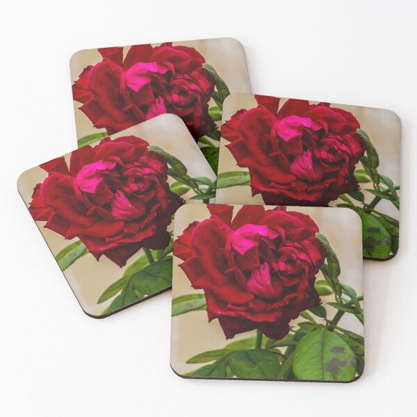 Item preview, Vibrant Red Rose Bloom with Lush Green Leaves in a Soft Focus Garden Setting designed and sold by Nmallia.