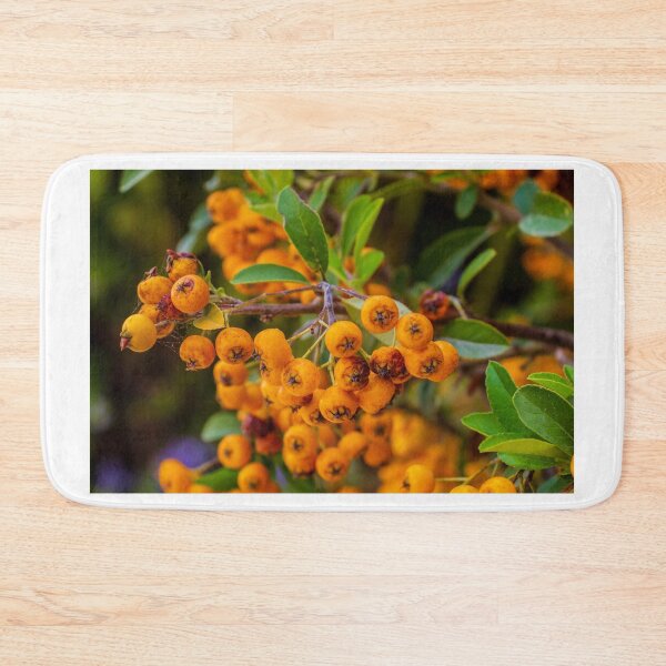 Item preview, Bright Orange Berries on a Lush Green Bush — Close-Up Nature Portrait of Autumn Colors designed and sold by Nmallia.