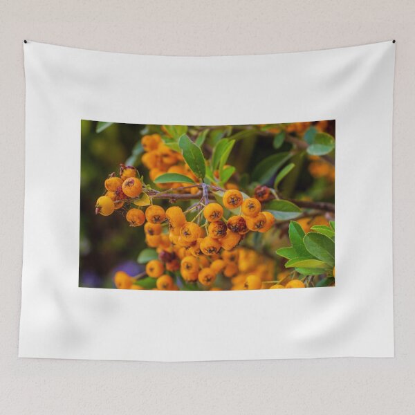 Item preview, Bright Orange Berries on a Lush Green Bush — Close-Up Nature Portrait of Autumn Colors designed and sold by Nmallia.