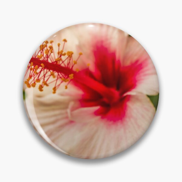 Item preview, Close-Up Hibiscus Flower With Pink Petals and Red Center in Tropical Garden designed and sold by Nmallia.