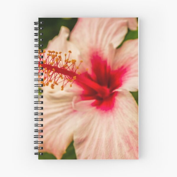 Item preview, Close-Up Hibiscus Flower With Pink Petals and Red Center in Tropical Garden designed and sold by Nmallia.