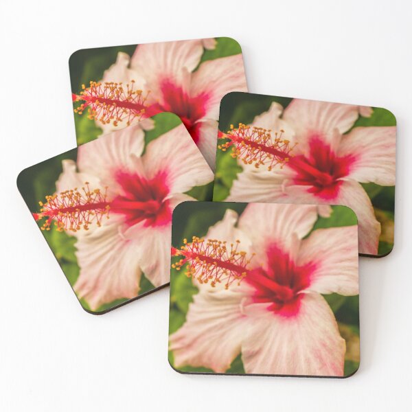 Item preview, Close-Up Hibiscus Flower With Pink Petals and Red Center in Tropical Garden designed and sold by Nmallia.