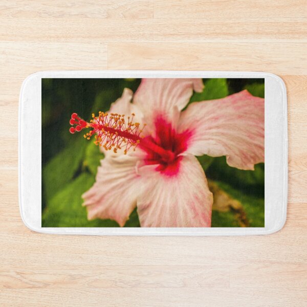 Item preview, Close-Up Hibiscus Flower With Pink Petals and Red Center in Tropical Garden designed and sold by Nmallia.