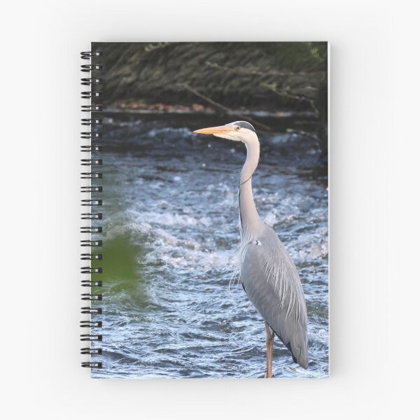 Item preview, Guardian of the river designed and sold by Marju Rose.