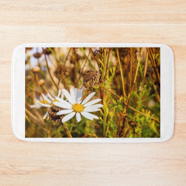 Item preview, White Daisy Flower Among Dry Stems in a Field Showcasing Natural Beauty and Simplicity designed and sold by Nmallia.