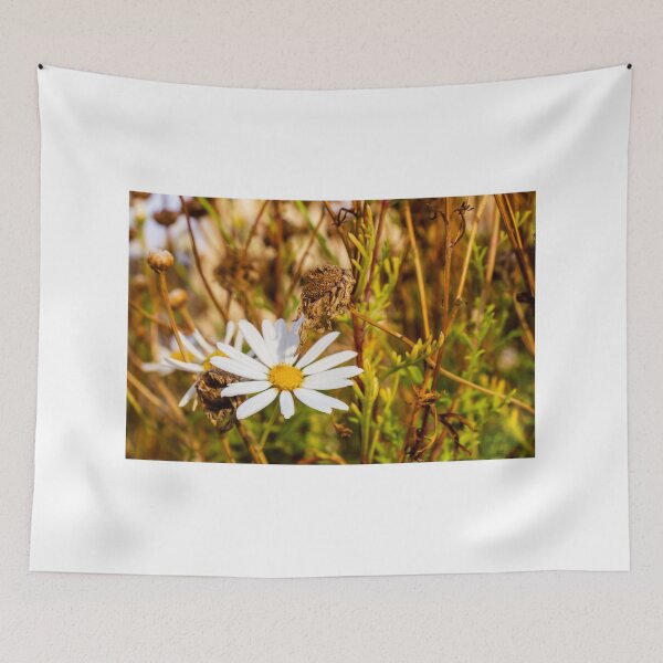 Item preview, White Daisy Flower Among Dry Stems in a Field Showcasing Natural Beauty and Simplicity designed and sold by Nmallia.