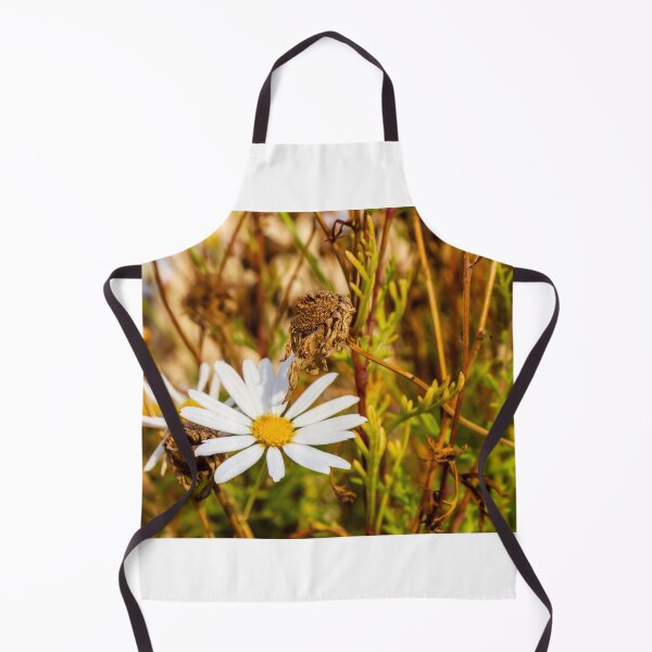 Item preview, White Daisy Flower Among Dry Stems in a Field Showcasing Natural Beauty and Simplicity designed and sold by Nmallia.