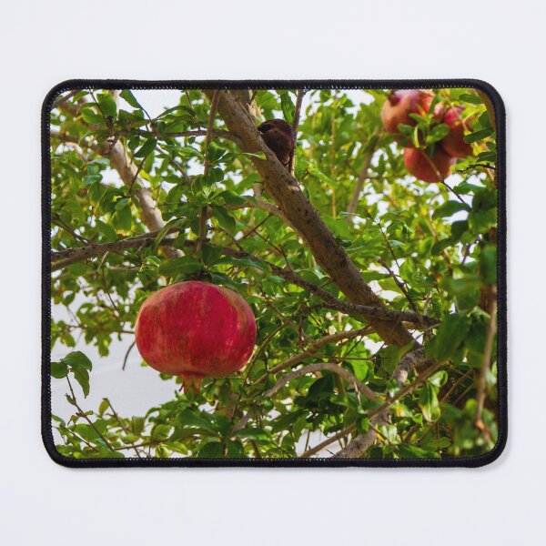 Item preview, Vibrant Red Pomegranate Hanging From Lush Green Tree Branches in a Sunlit Orchard designed and sold by Nmallia.