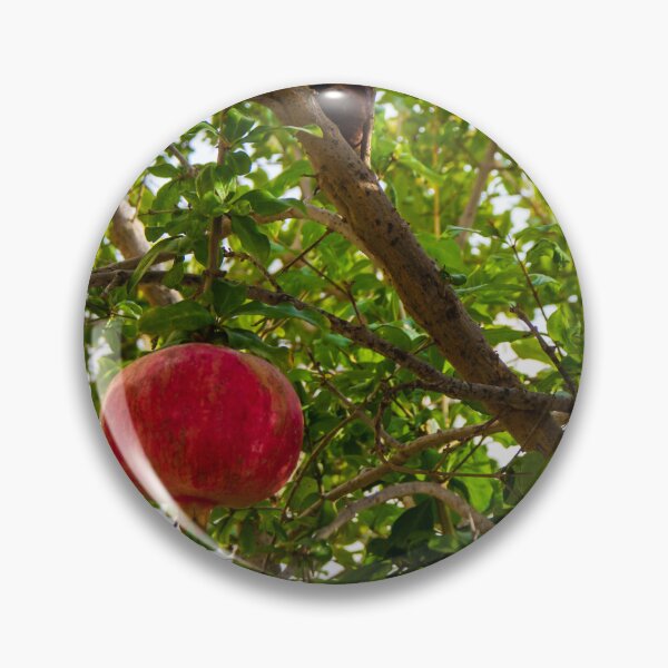 Item preview, Vibrant Red Pomegranate Hanging From Lush Green Tree Branches in a Sunlit Orchard designed and sold by Nmallia.