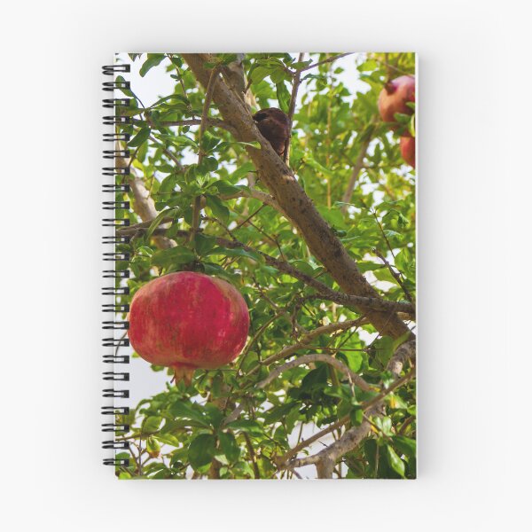Item preview, Vibrant Red Pomegranate Hanging From Lush Green Tree Branches in a Sunlit Orchard designed and sold by Nmallia.