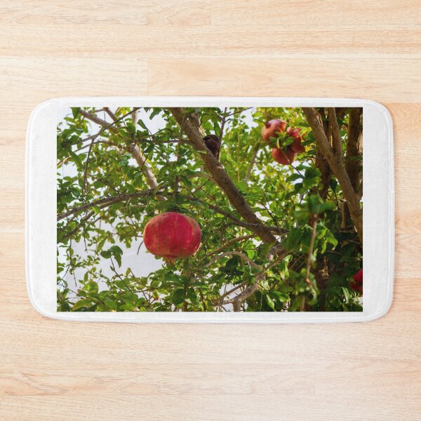 Item preview, Vibrant Red Pomegranate Hanging From Lush Green Tree Branches in a Sunlit Orchard designed and sold by Nmallia.