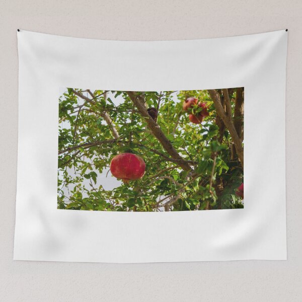 Item preview, Vibrant Red Pomegranate Hanging From Lush Green Tree Branches in a Sunlit Orchard designed and sold by Nmallia.