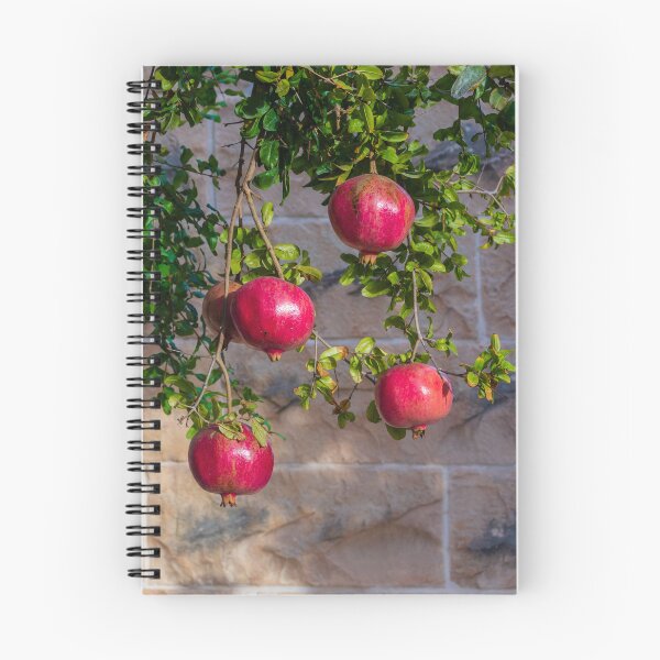 Item preview, Vibrant Red Pomegranate Hanging From Lush Green Tree Branches in a Sunlit Orchard designed and sold by Nmallia.