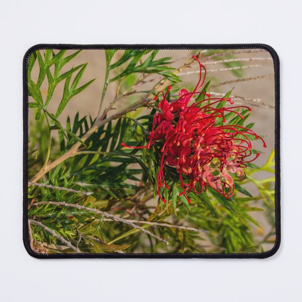 Item preview, Vibrant Red Protea Flower Among Green Foliage in a Natural Outdoor Setting designed and sold by Nmallia.