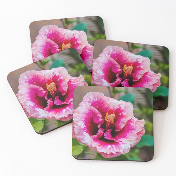 Item preview, Pink Hibiscus Flower in Full Bloom with Bright Petals and Lush Green Garden Background Outdoor designed and sold by Nmallia.