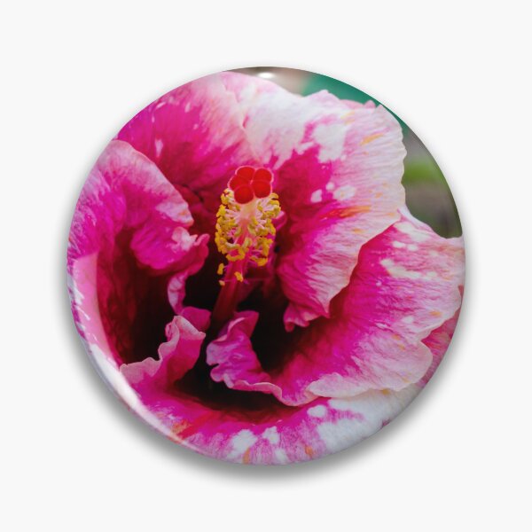 Artikelvorschau, Rosa Hibiskusblüte in voller Blüte mit leuchtenden Blütenblättern vor sattgrünem Gartenhintergrund im Freien entworfen und verkauft von Nmallia.
