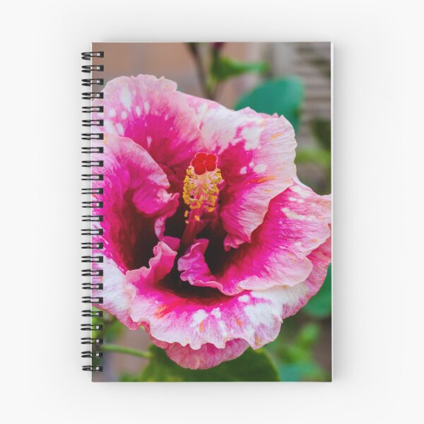 Item preview, Pink Hibiscus Flower in Full Bloom with Bright Petals and Lush Green Garden Background Outdoor designed and sold by Nmallia.