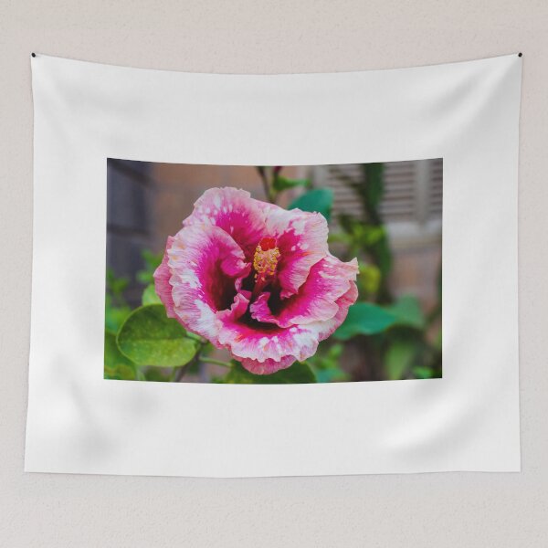 Item preview, Pink Hibiscus Flower in Full Bloom with Bright Petals and Lush Green Garden Background Outdoor designed and sold by Nmallia.