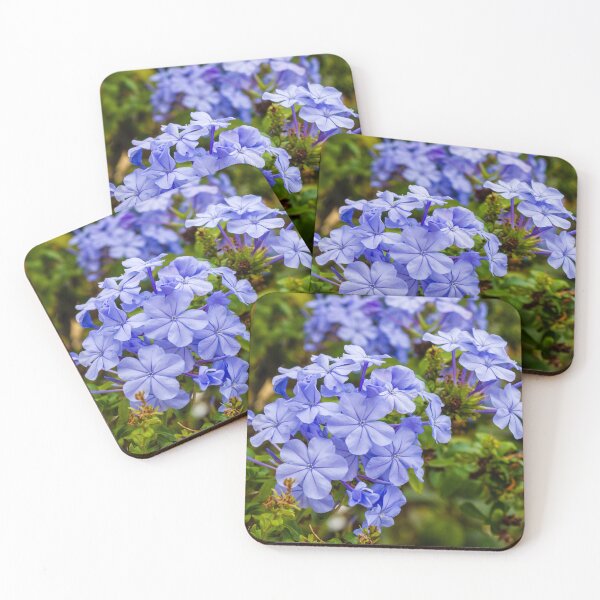 Item preview, Vibrant Blue Plumbago Flowers Blooming Cluster in Lush Garden Setting designed and sold by Nmallia.