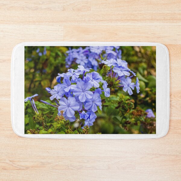 Item preview, Vibrant Blue Plumbago Flowers Blooming Cluster in Lush Garden Setting designed and sold by Nmallia.