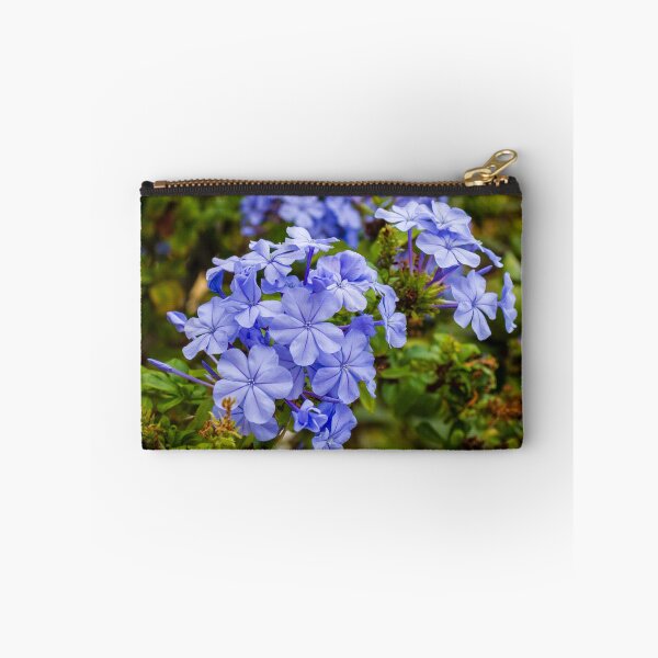 Item preview, Vibrant Blue Plumbago Flowers Blooming Cluster in Lush Garden Setting designed and sold by Nmallia.