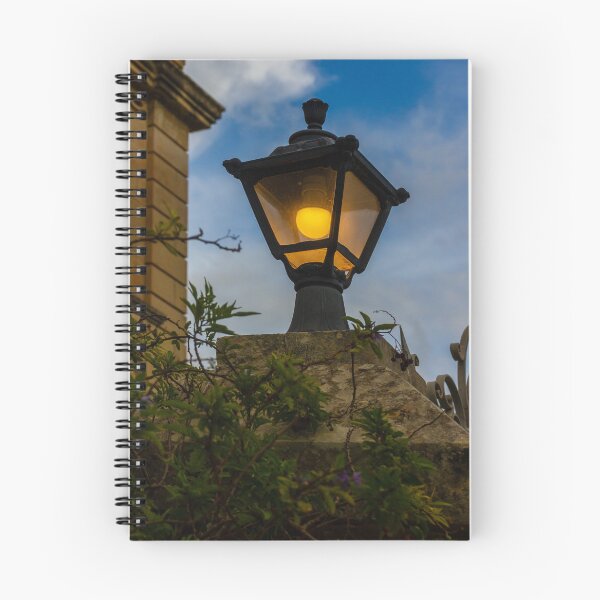 Item preview, Vintage Streetlamp With Warm Glow Over Stone Wall Amid Ivy And Evening Sky designed and sold by Nmallia.