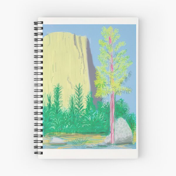 Item preview, David Hockney -  The Yosemite Suite  - Signed Print by David Hockney undefinedr designed and sold by LILLIANSTRANGEy.