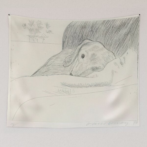 Item preview, David Hockney -  Dog Etching No.  - Signed Print by David Hockney undefinedr designed and sold by LILLIANSTRANGEy.