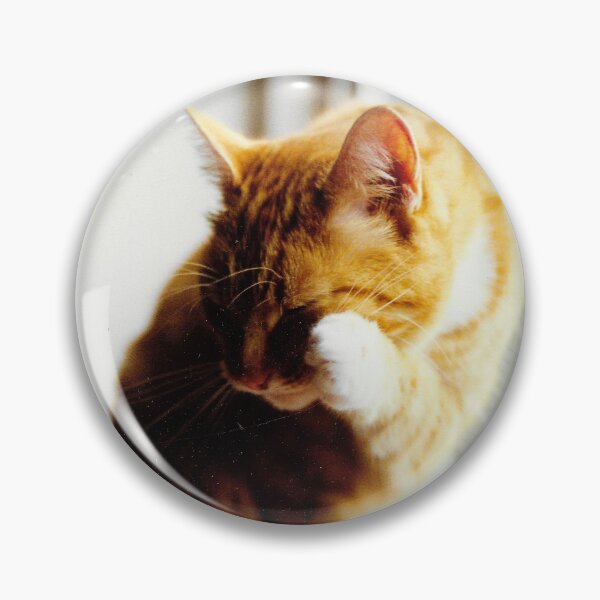 Item preview, Ginger and white cat cleaning photograph designed and sold by Natimo-Studio.