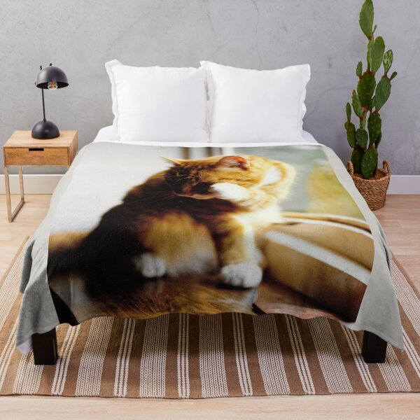 Item preview, Ginger and white cat cleaning photograph designed and sold by Natimo-Studio.