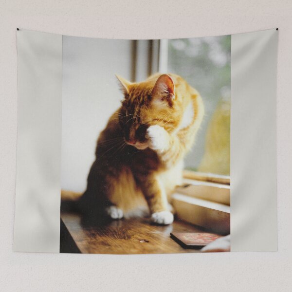 Item preview, Ginger and white cat cleaning photograph designed and sold by Natimo-Studio.