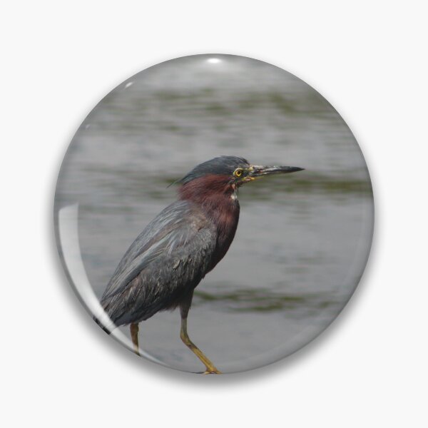 Item preview, Green Heron Perched on a Branch designed and sold by Cynthia48.