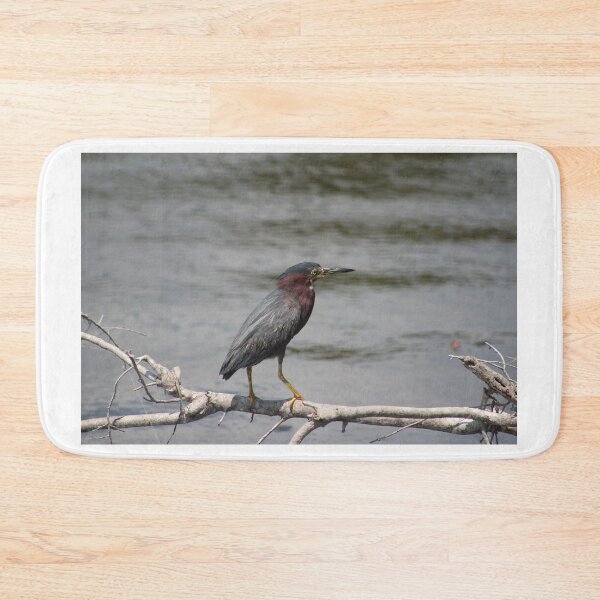 Item preview, Green Heron Perched on a Branch designed and sold by Cynthia48.