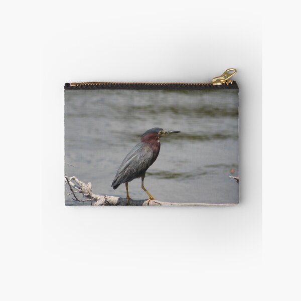 Item preview, Green Heron Perched on a Branch designed and sold by Cynthia48.