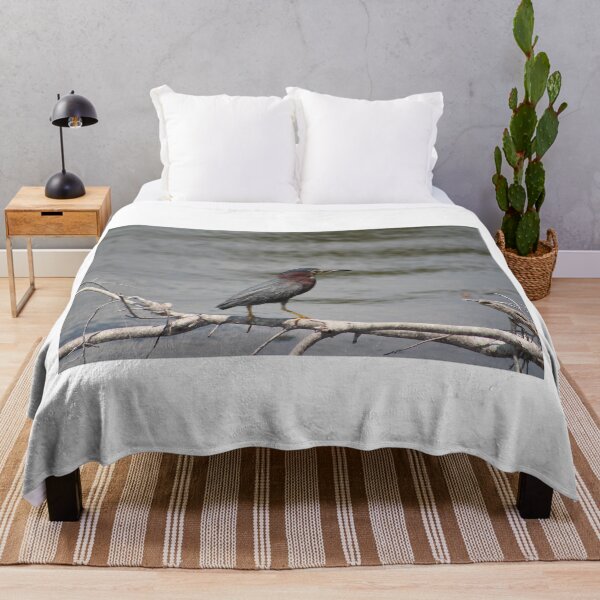 Item preview, Green Heron Perched on a Branch designed and sold by Cynthia48.