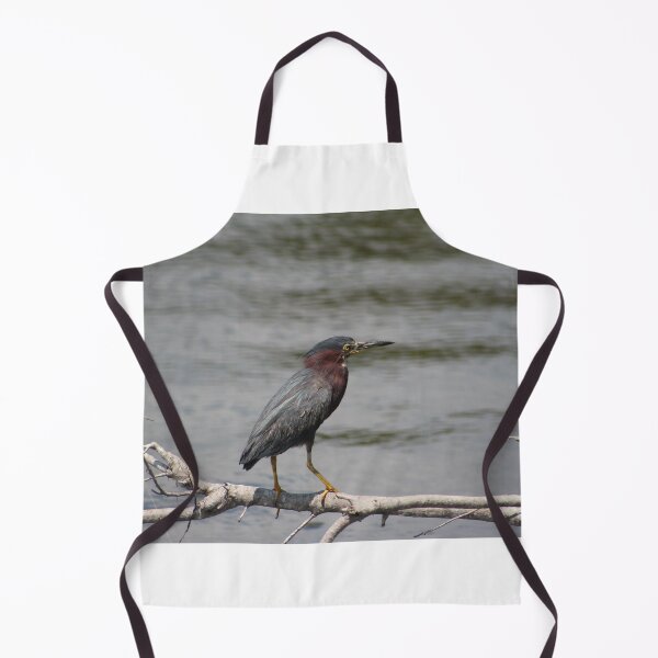 Item preview, Green Heron Perched on a Branch designed and sold by Cynthia48.