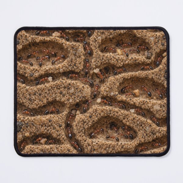 Item preview, Inside an Ant Farm – Photorealistic Ant Tunnels designed and sold by GSizzle1.