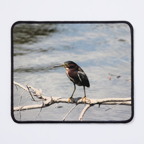Item preview, Solitary Heron on Branch designed and sold by Cynthia48.