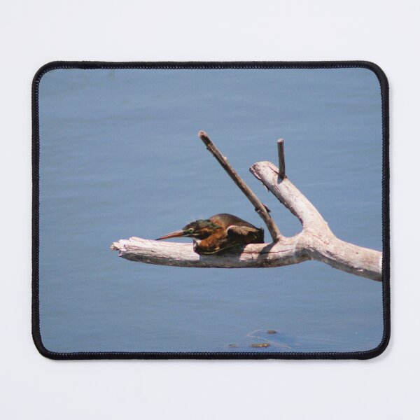 Item preview, Bird Resting on a Branch designed and sold by Cynthia48.
