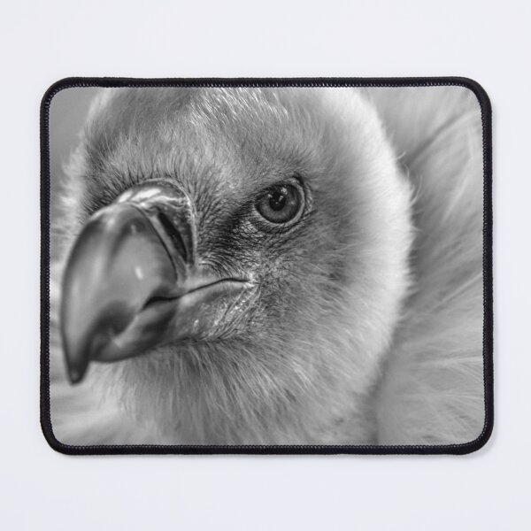 Item preview, Vulture designed and sold by SusiSu72.