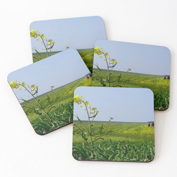 Item preview, rapeseed field designed and sold by thilu-hobby.