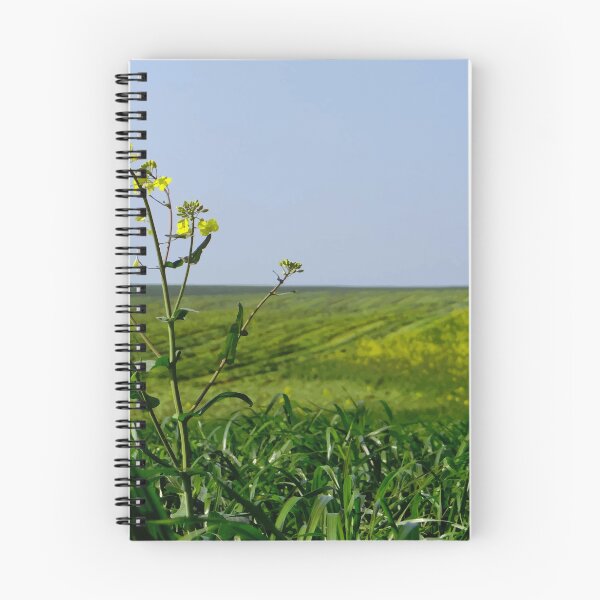 Item preview, rapeseed field designed and sold by thilu-hobby.