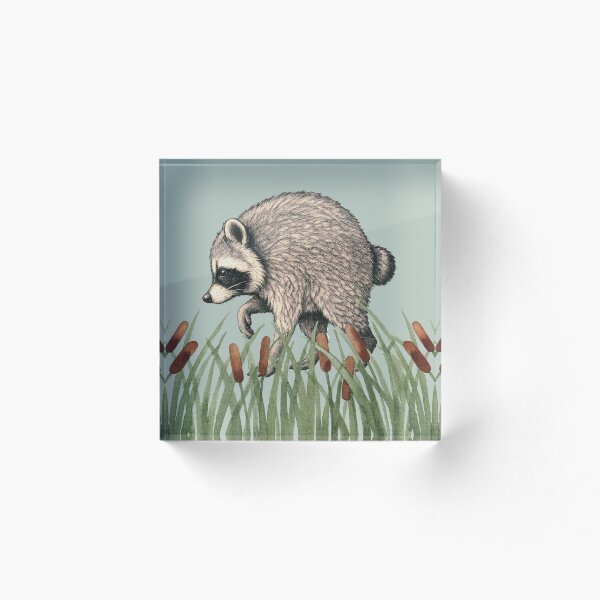 Item preview, Jimothy el mapache en la hierba del pantano designed and sold by 247DesignStudio.