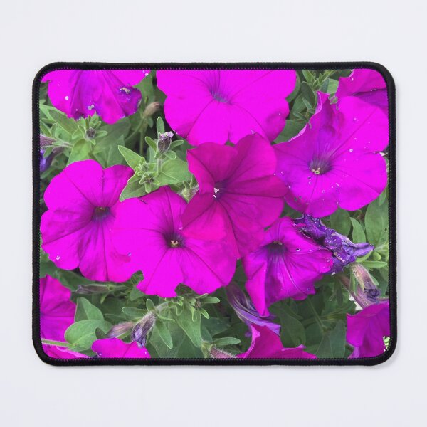 Item preview, Petunias designed and sold by Amanda1775.